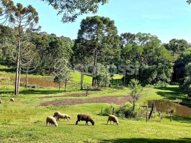 Fazenda à venda no Palmeirinha, Guarapuava , 125800 m2 por R$ 1.500.000