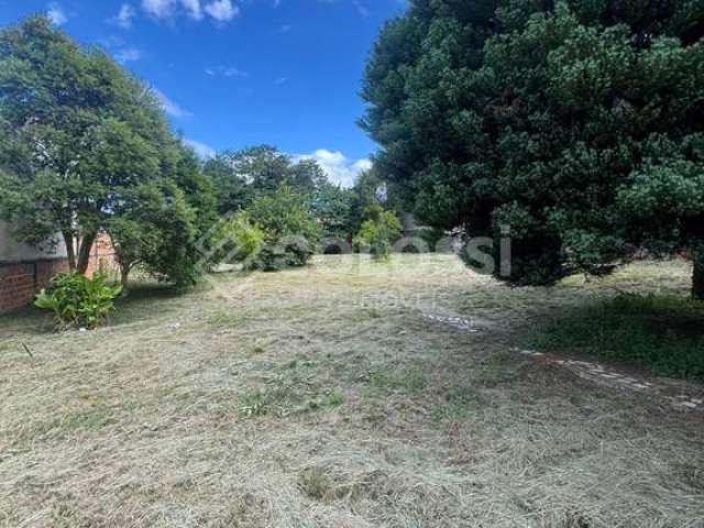 Terreno à venda no bairro Dos Estados - Guarapuava/PR