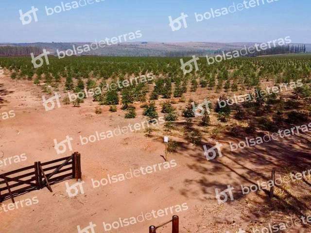 Fazenda à venda na Sonora, Centro, Sonora por R$ 62.500.000