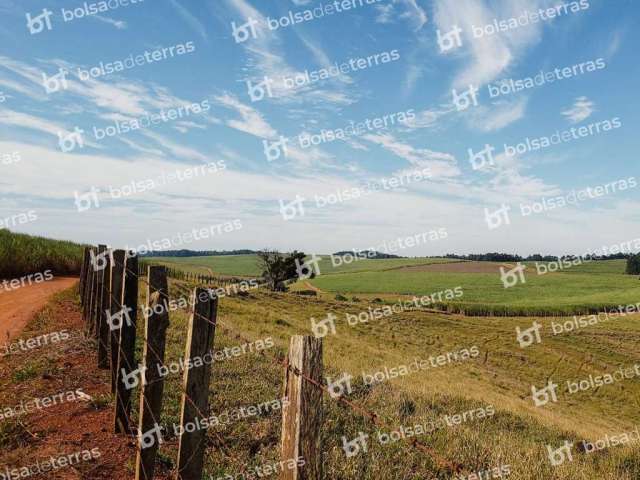 Fazenda à venda na São José da Glória, Centro, Ipeúna por R$ 10.000