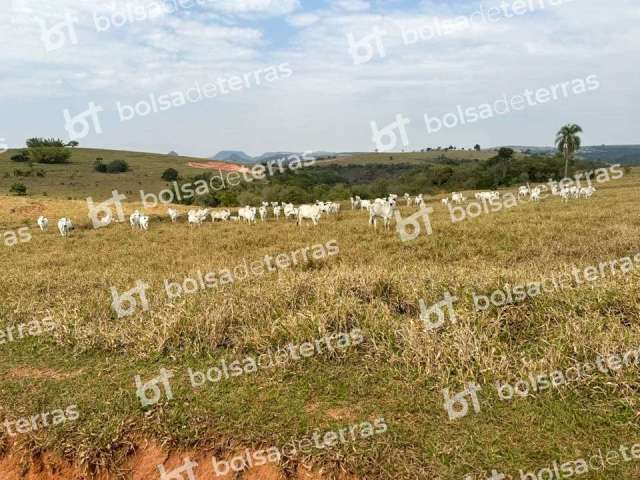 Fazenda à venda na Brasília, 1, Centro, Bofete por R$ 41.200.460