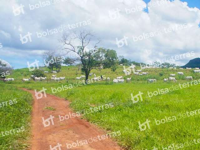 Fazenda à venda na Suri Uirandé, 1, Centro, Campinápolis por R$ 180.514.000