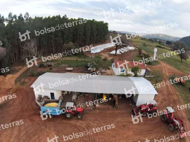 Fazenda à venda na Estância Livia, Centro, Botucatu por R$ 50.000.000