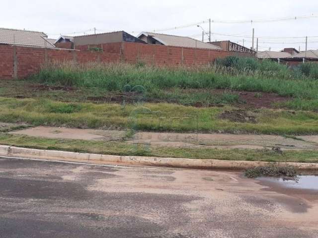 Terreno misto Cristo Redentor residencial e comercial