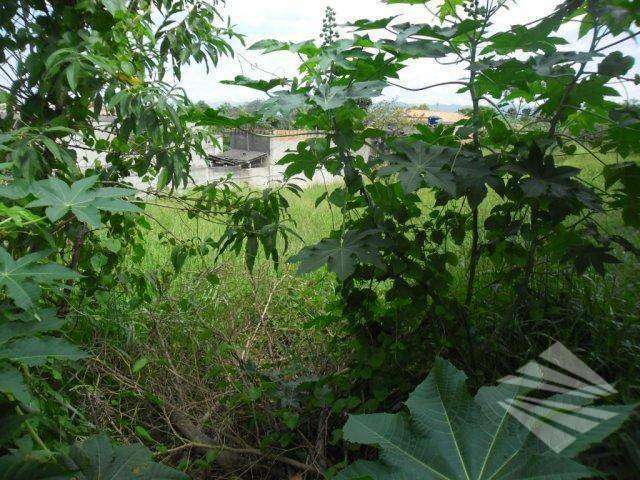 Terreno residencial à venda, Quinta das Frutas, Taubaté.