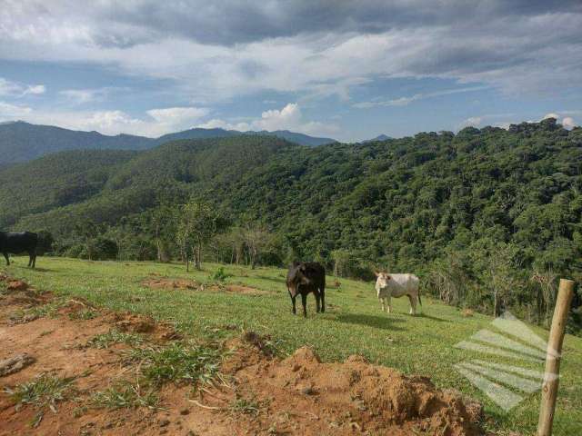 Terreno à venda, 20.094,07m² - Poço Grande - Tremembé/SP