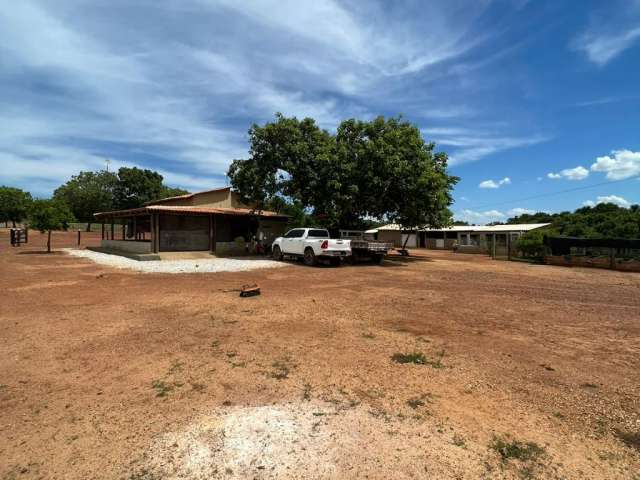 Fazenda à venda; 244,4 hectares; há 2km da cidade de Sandolândia/TO.