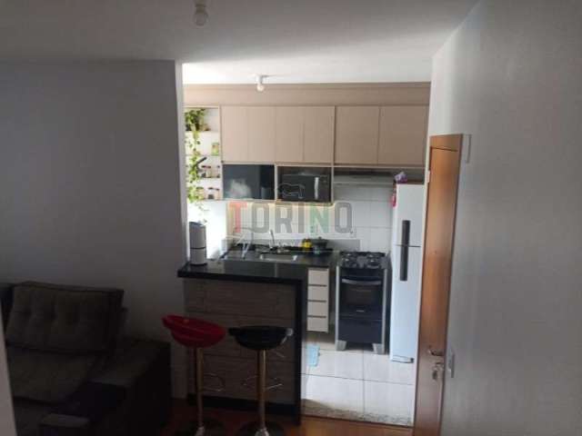 Apartamento - Ribeirão Preto - Vila Guiomar - Região Oeste