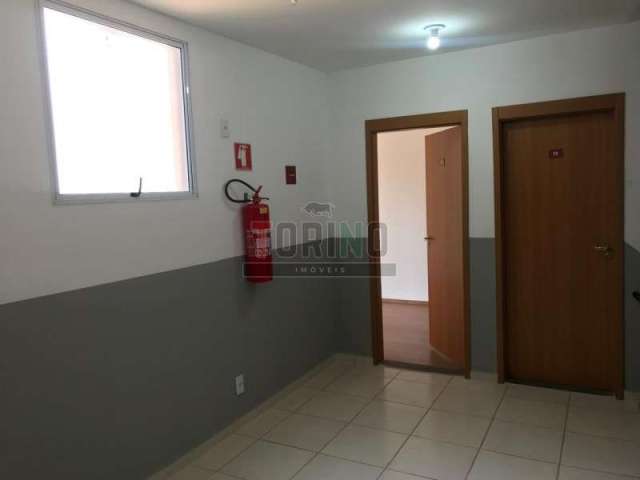 Apartamento - Ribeirão Preto - Quintino Facci II  - Região Norte