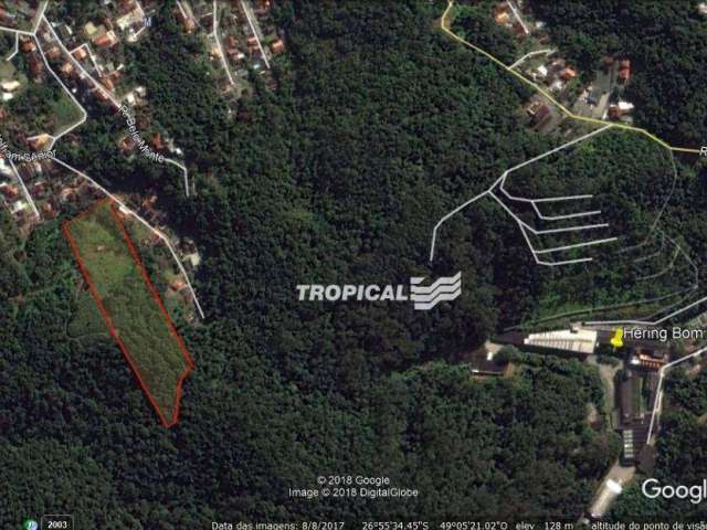 Terreno à venda, 23000 m² por R$ 3.500.000,00 - Velha - Blumenau/SC