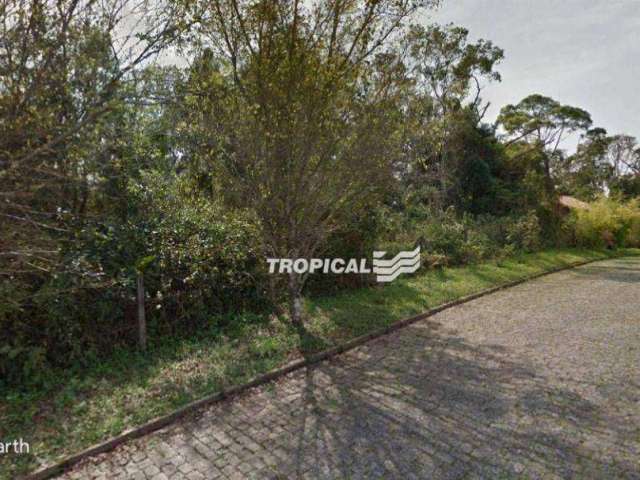 Terreno à venda, 3200 m² por R$ 1.400.000,00 - Ponta Aguda - Blumenau/SC