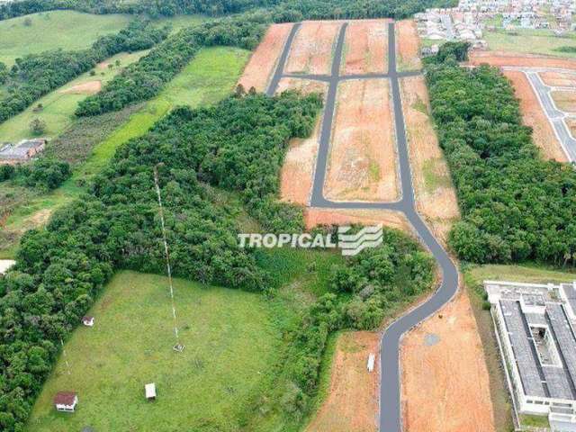 Terreno à venda, 364 m² por R$ 160.000 - Benedito - Indaial/SC