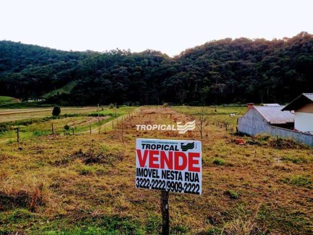 Terreno à venda, 20783 m² por R$ 679.000,00 - Gaspar Alto - Gaspar/SC