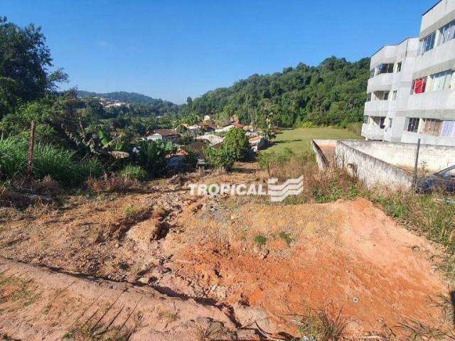 Terreno à venda, 10027 m² por R$ 2.100.000,00 - Testo Salto - Blumenau/SC