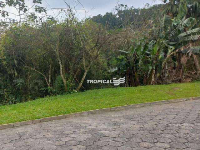 Terreno à venda, 420 m² por R$ 249.000,00 - Fortaleza - Blumenau/SC