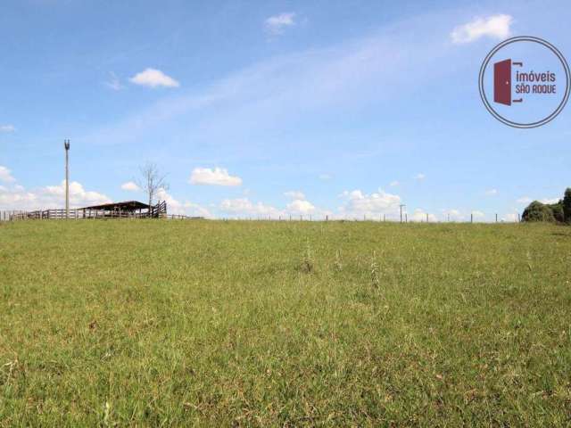 Fazenda com 59 alqueires para Criação de boi