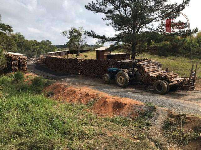 Sítio à venda, 91960 m² por R$ 1.200.000,00 - Zona Rural - Pilar do Sul/SP