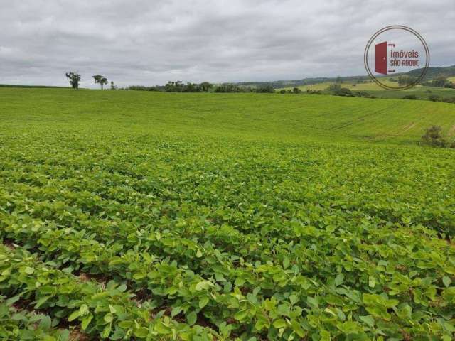 Sitio com 20 alq na Região  de Sorocaba