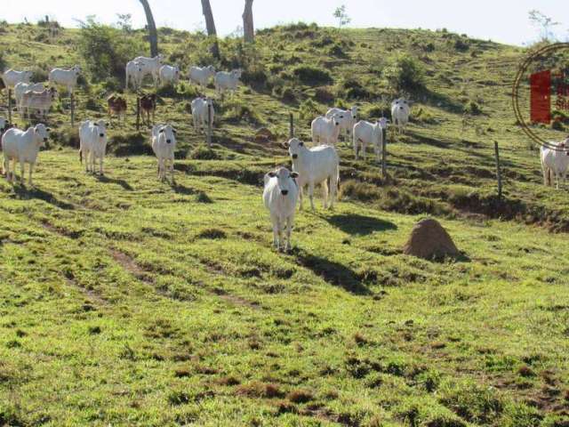 Fazenda com  70 alq Sorocaba  e região