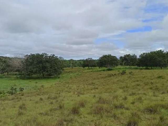 Rural - Chácara, para Venda em São José do Rio Preto/SP