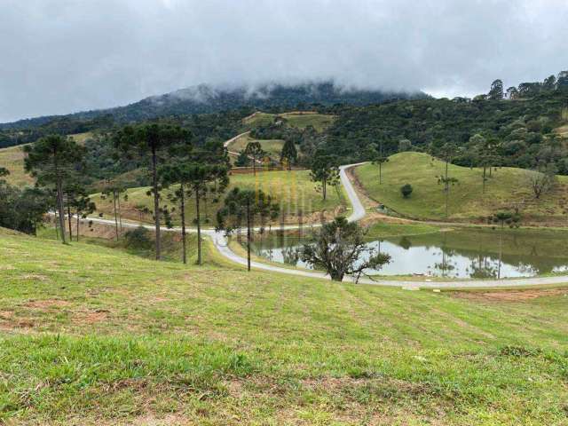 Terreno à venda, 4274 m² por R$ 1.965.000,00 - Zona Rural - Bom Retiro/SC