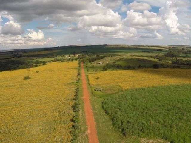 Fazenda Espetacular na Região Mais Produtiva de Grãos de Brasília 8.000.000