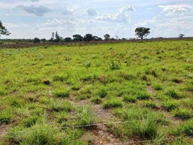 Vendo Chácara Escriturada DF 130 2.6 Hectares !!! 380.000 !!!