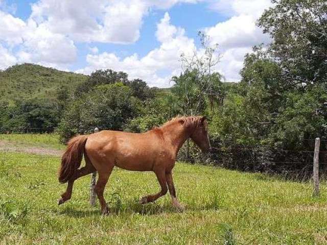 Fazenda Planaltina-DF 61 Hectares !!! 2.200.000 !!!