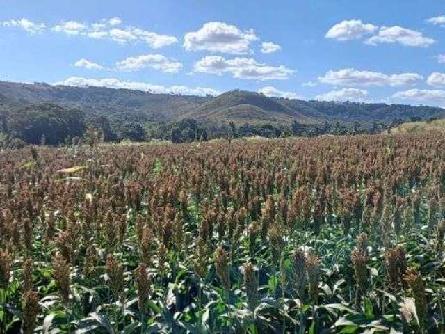 Fazenda no Núcleo Rural Rio Preto com 113 Hectares !!! 3.500.000 !!!