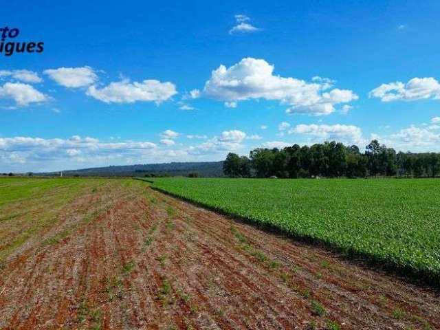 Fazenda 115 Hectares em Planaltina DF !!! 10.000.000 !!!