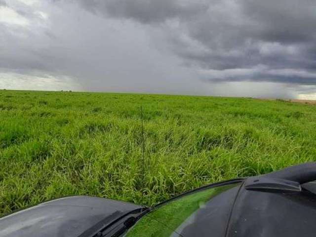 Vendo Fazenda Espetacular no Município Chapada Gaúcha 399 Hectares 13.125.000!