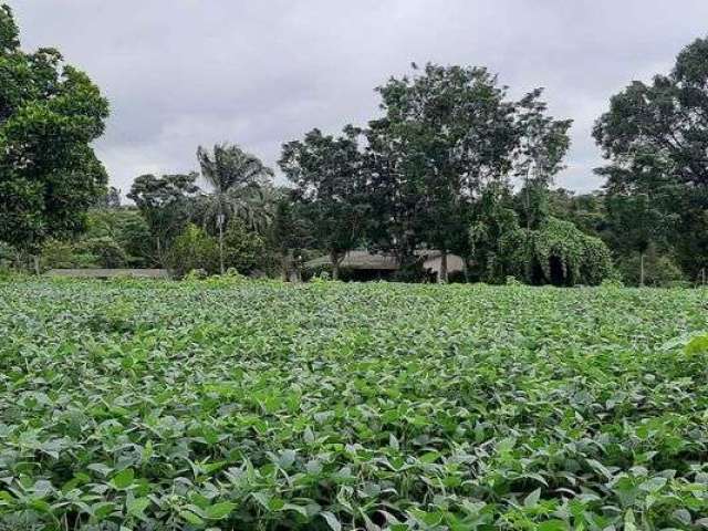 Sítio 12 Hectares Capão Seco Paranoá !!! 1.000.000 !!!