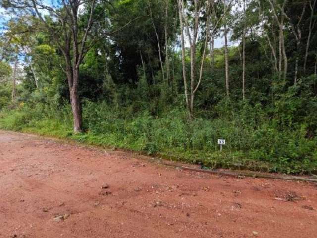 Área com 1.500 m² (Lote 53) no Condomínio Sítio das Hortênsias - São Roque - SP