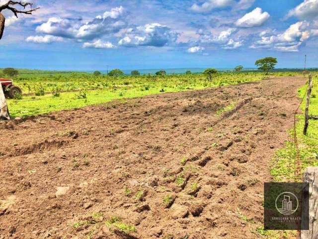 Fazenda à venda por R$ 16.000.000 - Centro - Alto Araguaia/MT