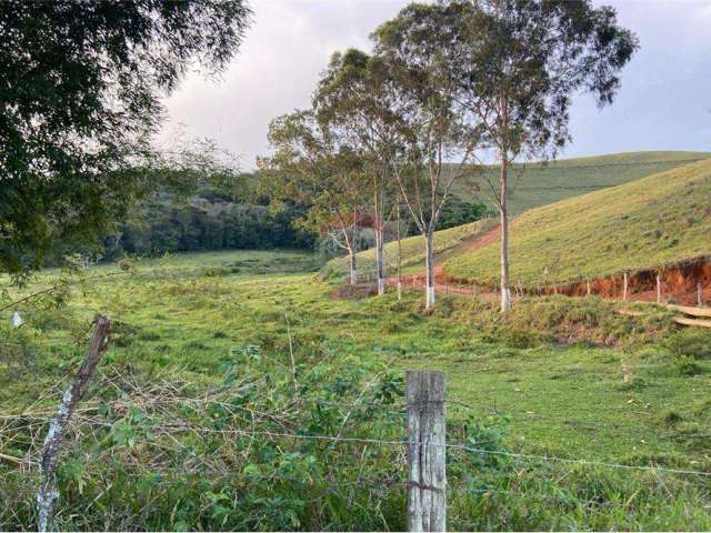 investimento fazenda dentro da cidade de Juiz de Fora