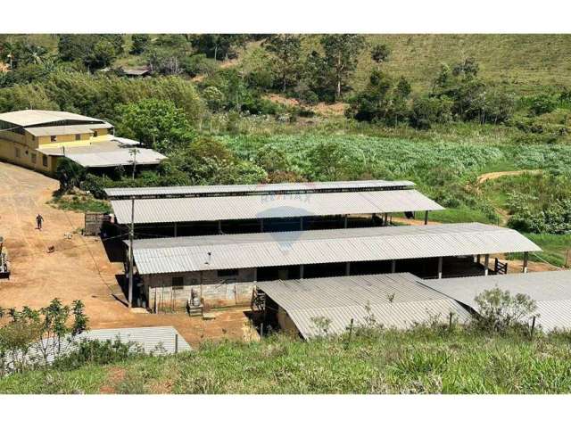 Impressionante fazenda à venda, com aproximadamente 70 hectares