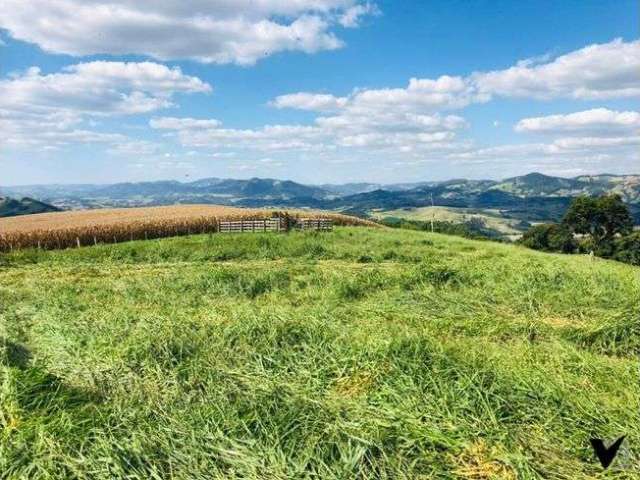 Lindo Sítio a Venda em Socorro - SP