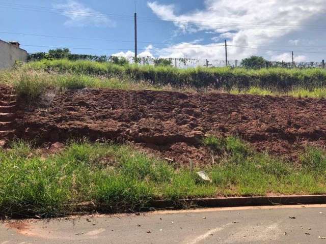 Lote/Terreno para venda tem 250 metros quadrados em Centro - Socorro - SP