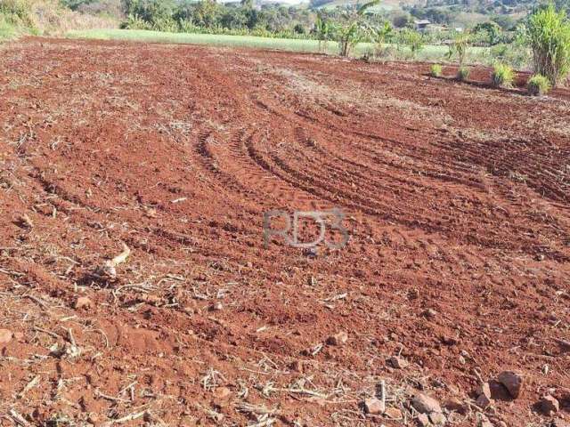 Chácara à venda, 1000 m² por R$ 150.000,00 - Patrimônio Selva - Londrina/PR