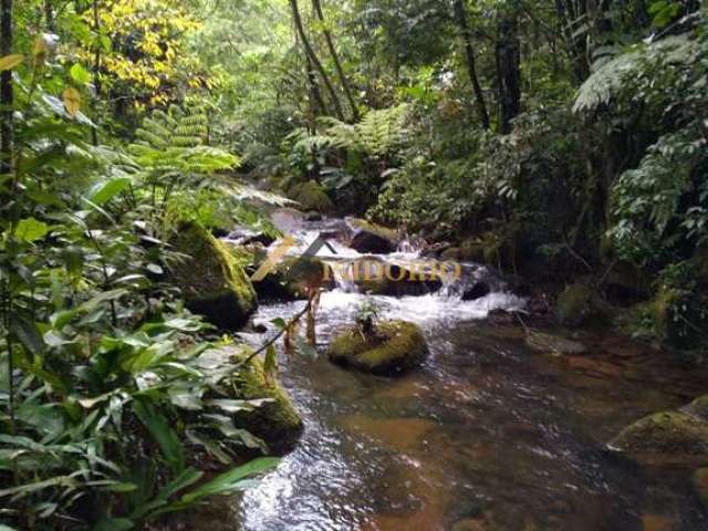 Chácara / sítio com 2 quartos à venda na ESTRADA DO CANAVIEIRO CANDONGA RIO SAGRADO DE LIMA, Centro, Morretes, 45 m2 por R$ 400.000