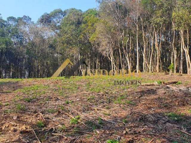 EXCELENTE CHÁCARA EM CAMPO LARGO! 20.000m² DE ÁREA TOTAL