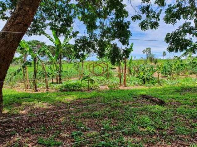 Chácara à venda 3 Quartos, 1 Suite, 78000M², Zona Rural, Acorizal - MT