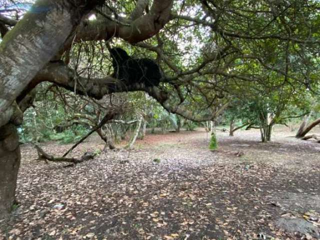 Terreno em santo andre bahia