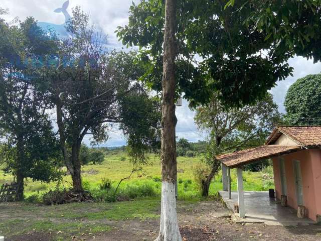 Fazenda a venda em porto seguro