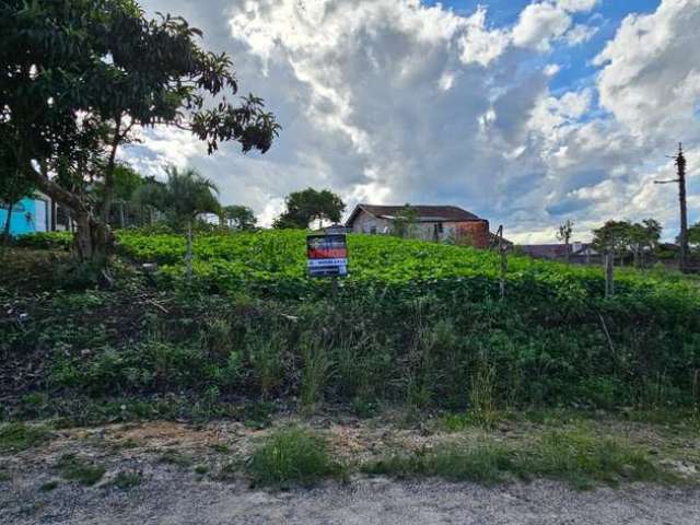 Terreno à venda na Rua Waldemar Gneiding, São Rafael, Rio Negrinho por R$ 159.000