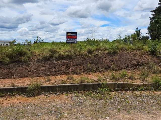 Terreno à venda na Rua Dirceu Wiese, São Pedro, Rio Negrinho por R$ 118.000