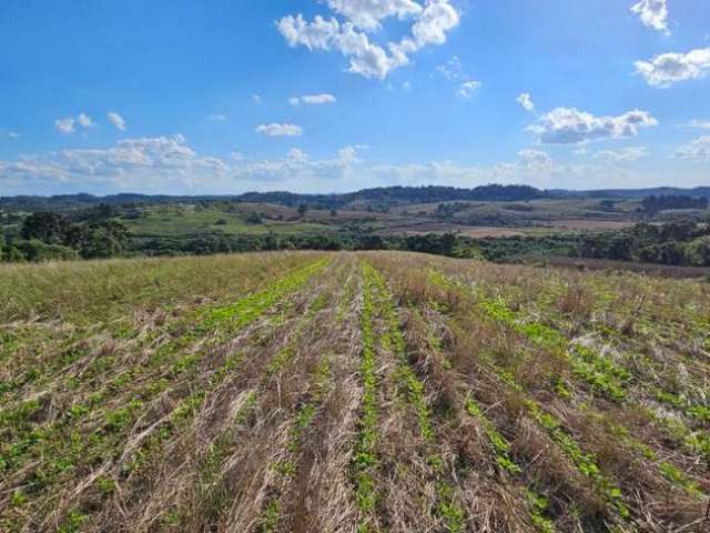 Terreno à venda na Campo Lençol, Campo Lençol, Rio Negrinho por R$ 890.000