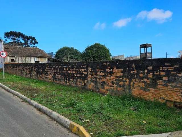 Terreno comercial à venda na RUA BENEMÉRITO ERNESTO LEHMANN, Vila Nova, Mafra por R$ 459.000