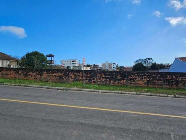 Terreno comercial à venda na RUA BENEMÉRITO ERNESTO LEHMANN, Vila Nova, Mafra por R$ 1.595.000