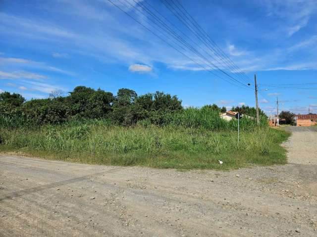 Terreno à venda na RUA BENEMÉRITO MARTIM SCHAFASCHECK, Vila Nova, Mafra por R$ 215.000